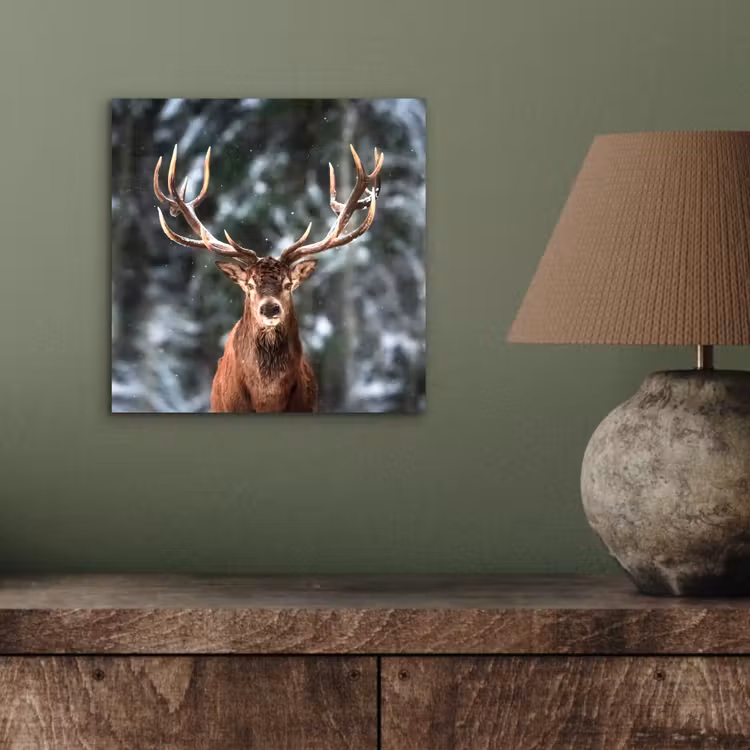 Aluminium schilderij - Hert - Winter - Sneeuw - Bos - Natuur - Dier — 3