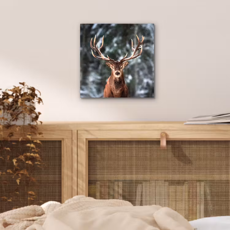Aluminium schilderij - Hert - Winter - Sneeuw - Bos - Natuur - Dier — 4