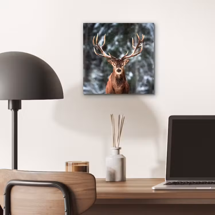 Aluminium schilderij - Hert - Winter - Sneeuw - Bos - Natuur - Dier — 6