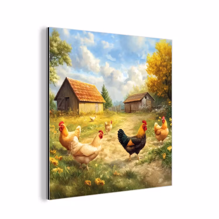 Aluminium schilderij - Kippen - Landelijke rust - Natuur — 1