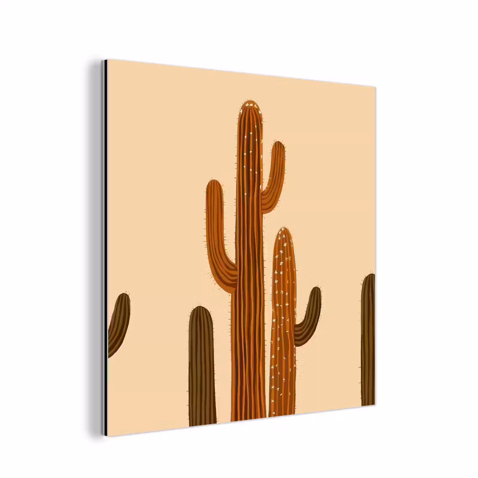 Aluminium schilderij - Cactus - Woestijn - Zand - Bruin — 1