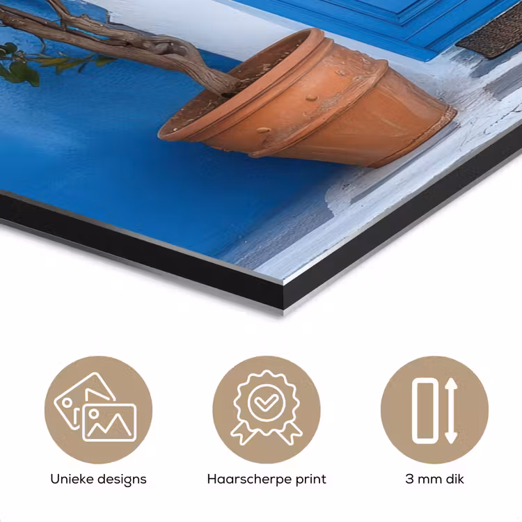 Aluminium schilderij - Citroenbomen - Geel - Deur - Potten — 7