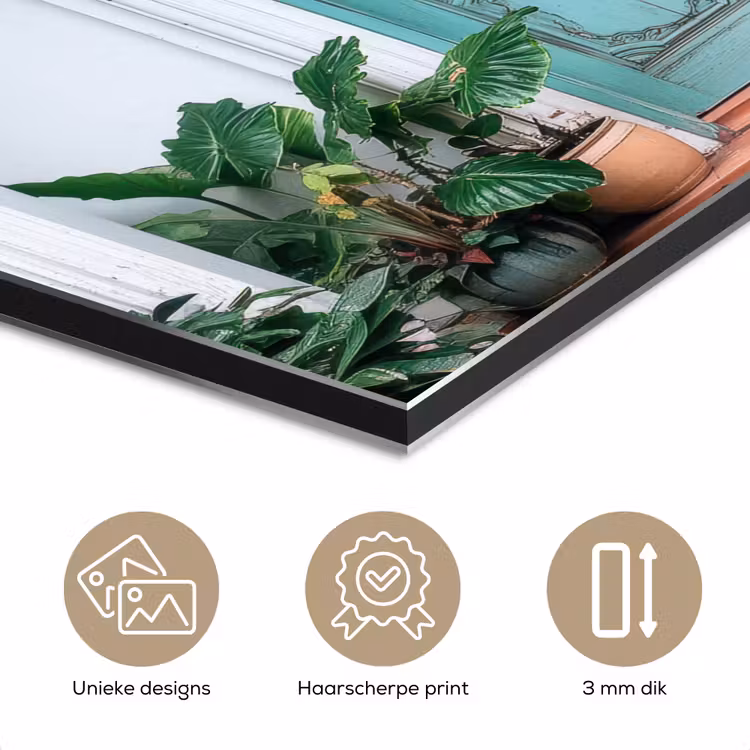 Aluminium schilderij - Deur - Patronen - Planten — 7