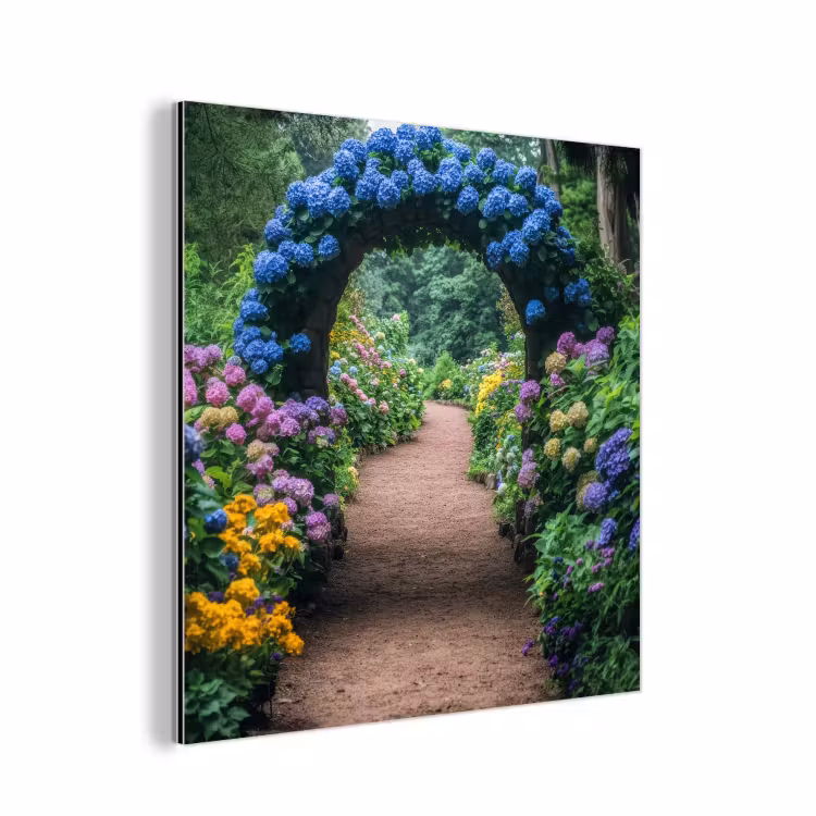 Aluminium schilderij - Doorkijk - Bloemen - Hortensia - Pad — 1