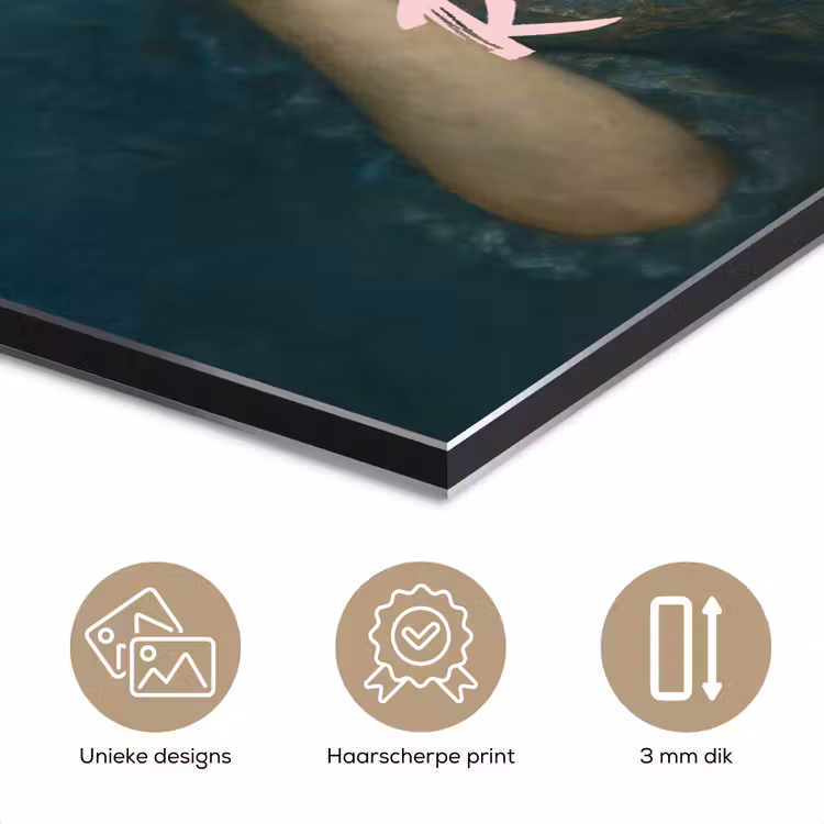 Aluminium schilderij - Klassiek - Sierlijk - Roze — 7