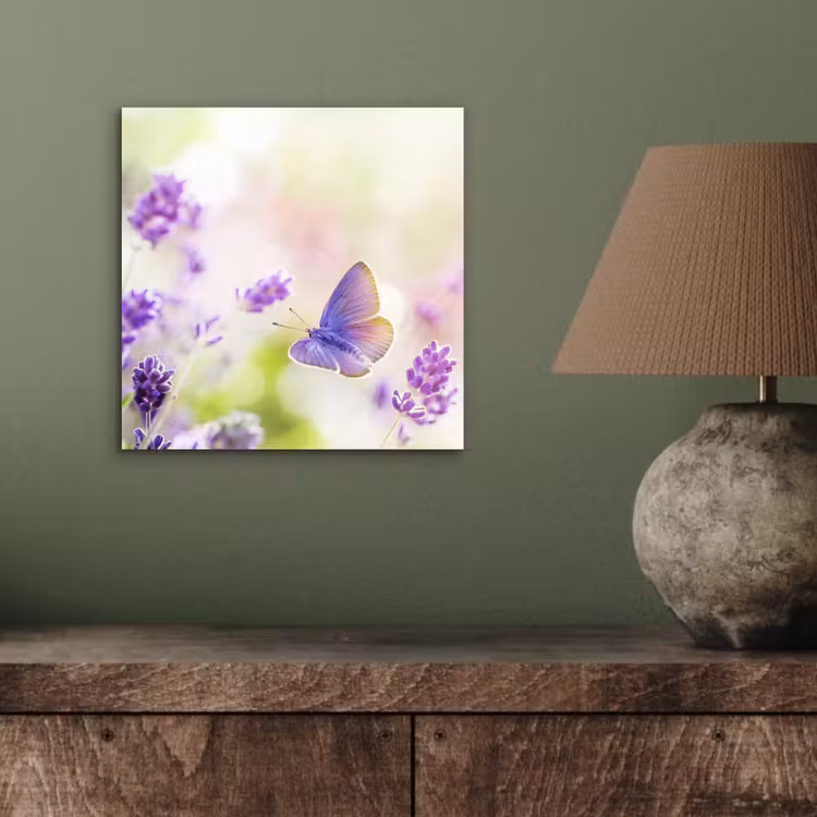 Aluminium schilderij - Lavendel - Vlinder - Bloemen — 3