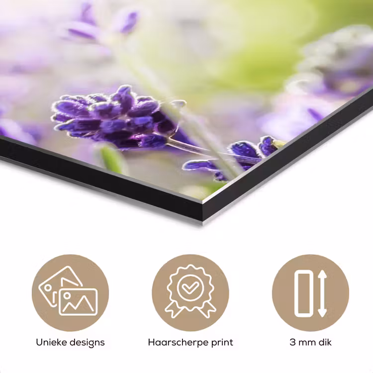 Aluminium schilderij - Lavendel - Vlinder - Bloemen — 7