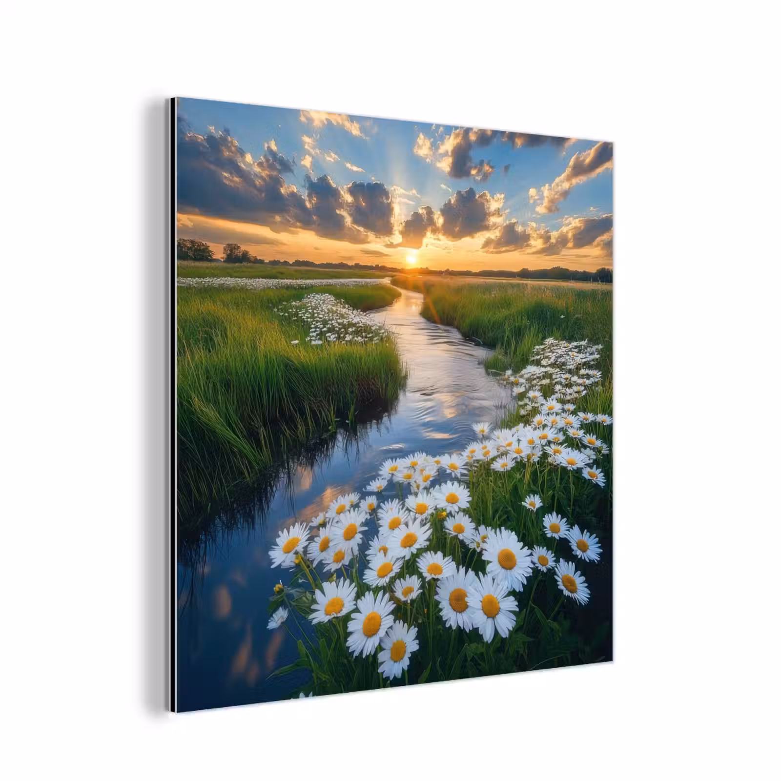 Aluminium schilderij - Beekje - Landschap - Margriet — 1