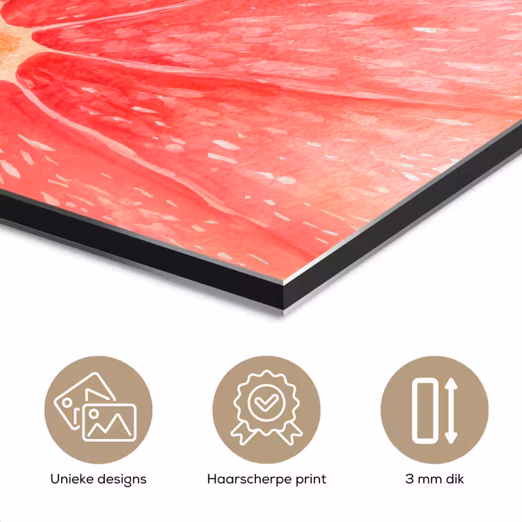 Aluminium schilderij - Grapefruit - Roze - Levendig — 7