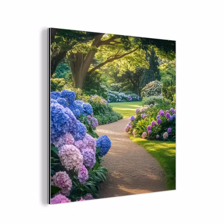 Aluminium schilderij - Hortensia- Park - Pad — 1