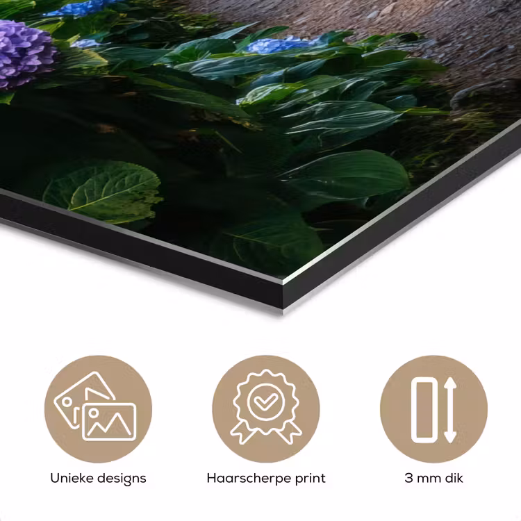 Aluminium schilderij - Hortsensia - Pad - Bloemen — 7