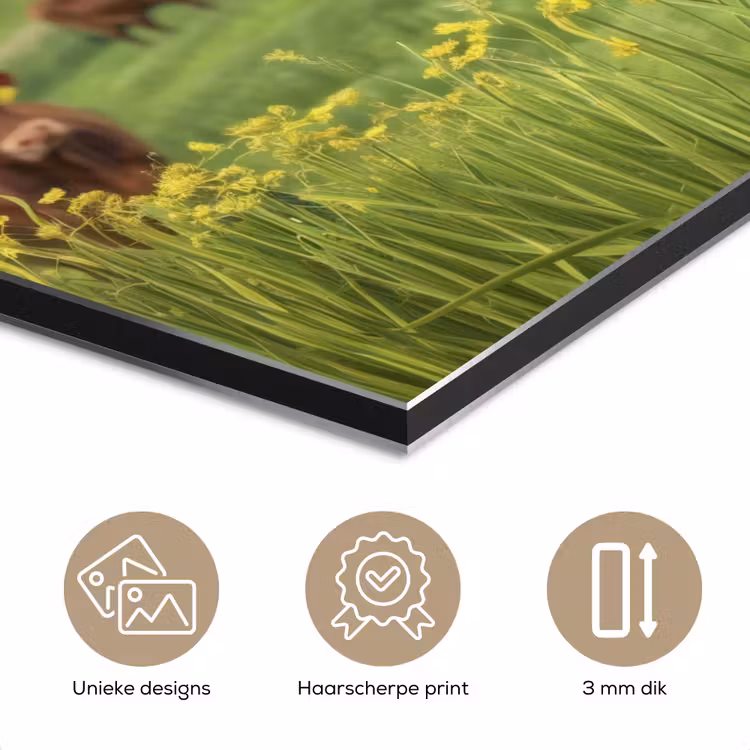 Aluminium schilderij - Koe - Weide - Bloemen — 7