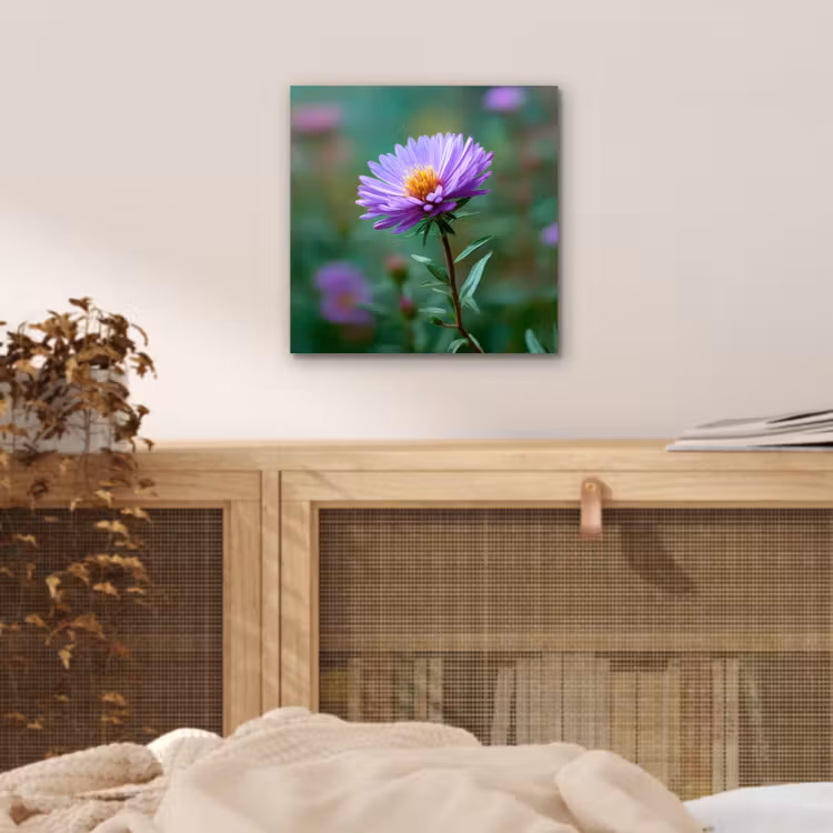 Aluminium schilderij - Aster - Paars - Bloem - Blaadjes — 4