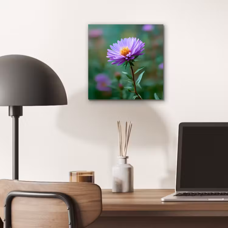 Aluminium schilderij - Aster - Paars - Bloem - Blaadjes — 6