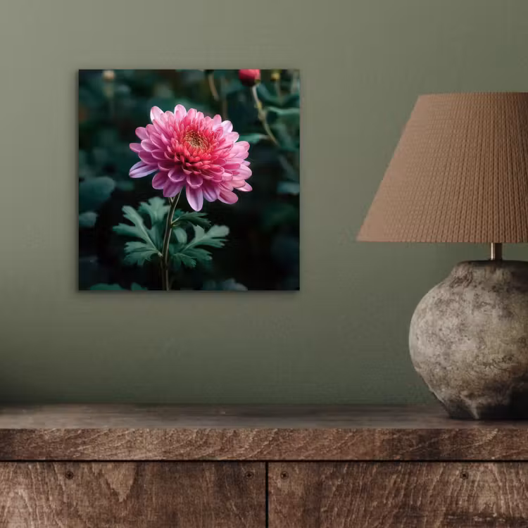 Aluminium schilderij - Blad - Chrysant - Roze - Schaduw — 3