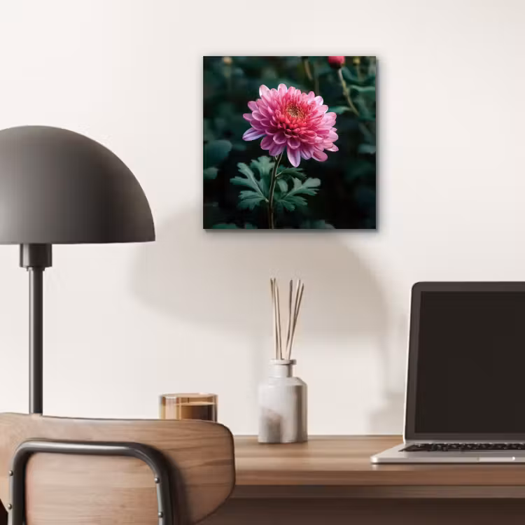 Aluminium schilderij - Blad - Chrysant - Roze - Schaduw — 6