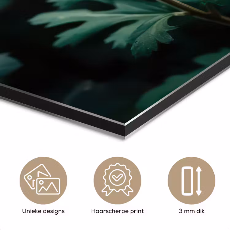 Aluminium schilderij - Blad - Chrysant - Roze - Schaduw — 7