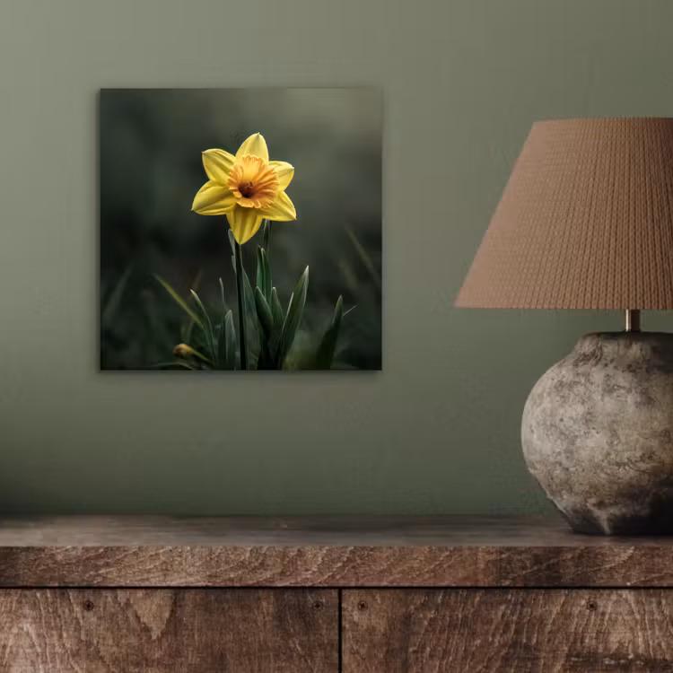 Aluminium schilderij - Bloem - Narcis - Gras - Geel — 3