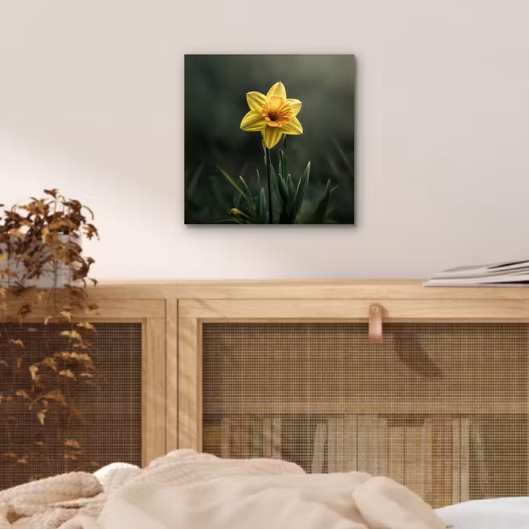 Aluminium schilderij - Bloem - Narcis - Gras - Geel — 4