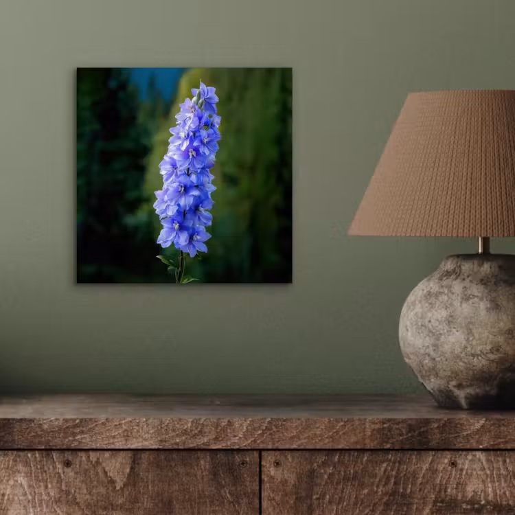 Aluminium schilderij - Bloemen - Blauw - Dennenboom — 3