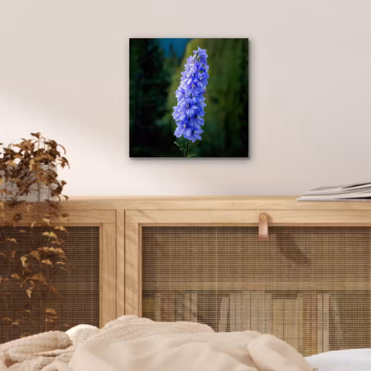 Aluminium schilderij - Bloemen - Blauw - Dennenboom — 4