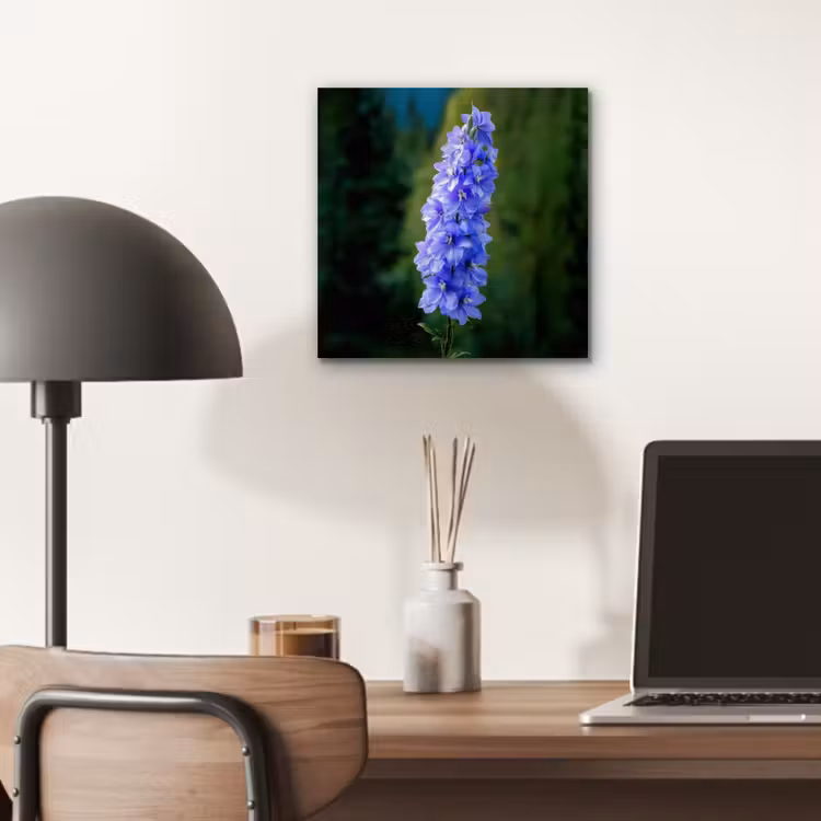 Aluminium schilderij - Bloemen - Blauw - Dennenboom — 6