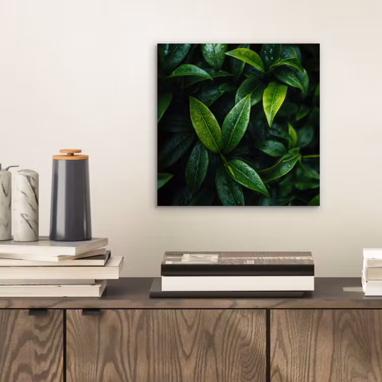 Aluminium schilderij - Bladeren - Regendruppels - Licht - Groen — 2