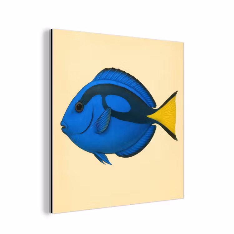 Aluminium schilderij - Blauw - Dory - Vis - Staartvin — 1