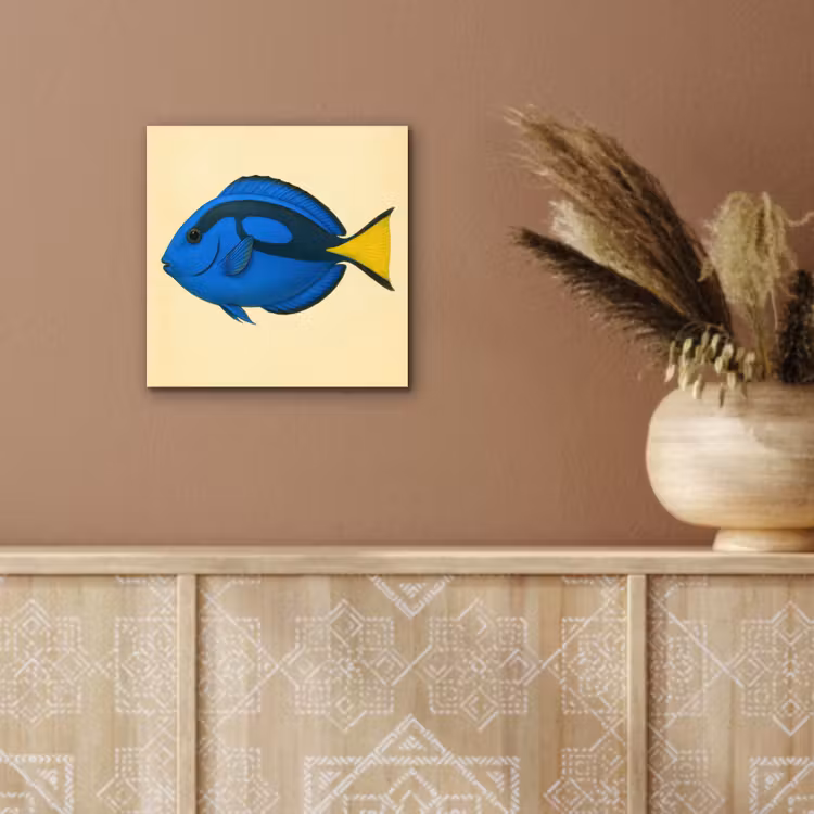 Aluminium schilderij - Blauw - Dory - Vis - Staartvin — 5