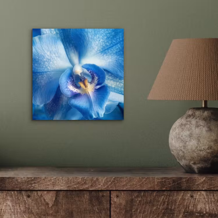 Aluminium schilderij - Blauw - Orchidee - Elegeant — 3