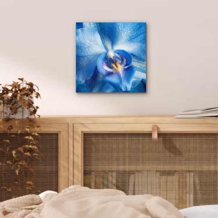Aluminium schilderij - Blauw - Orchidee - Elegeant — 4