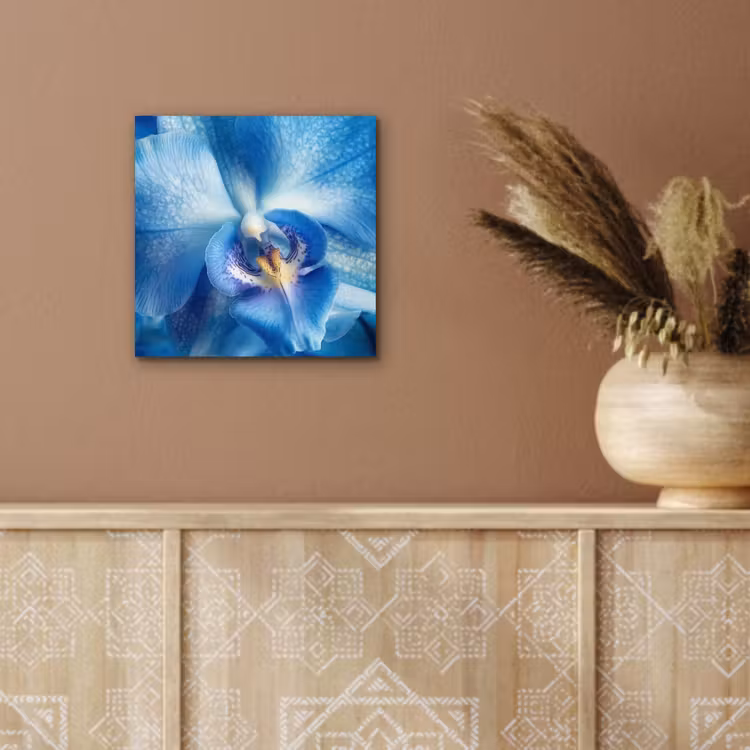Aluminium schilderij - Blauw - Orchidee - Elegeant — 5
