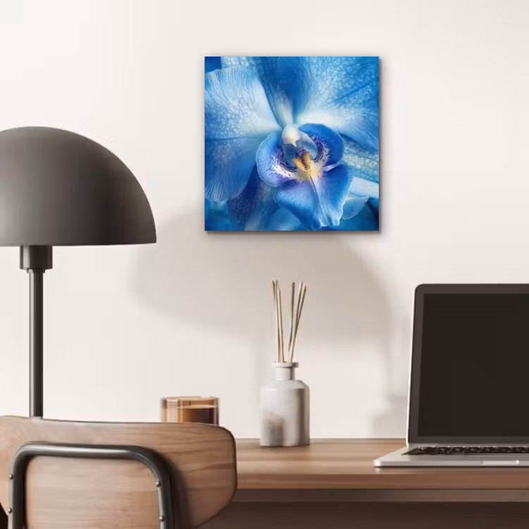 Aluminium schilderij - Blauw - Orchidee - Elegeant — 6