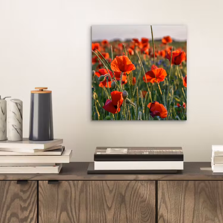 Aluminium schilderij - Bloemen - Klaprozen - Natuur - Rood — 2