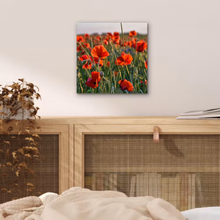 Aluminium schilderij - Bloemen - Klaprozen - Natuur - Rood — 4