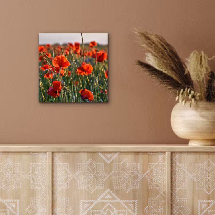 Aluminium schilderij - Bloemen - Klaprozen - Natuur - Rood — 5