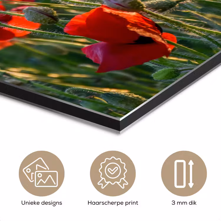 Aluminium schilderij - Bloemen - Klaprozen - Natuur - Rood — 7