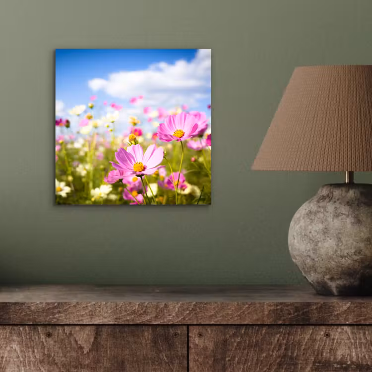 Aluminium schilderij - Bloemen - Wei - Paars - Gras - Wit - Wolken - Blauw — 3