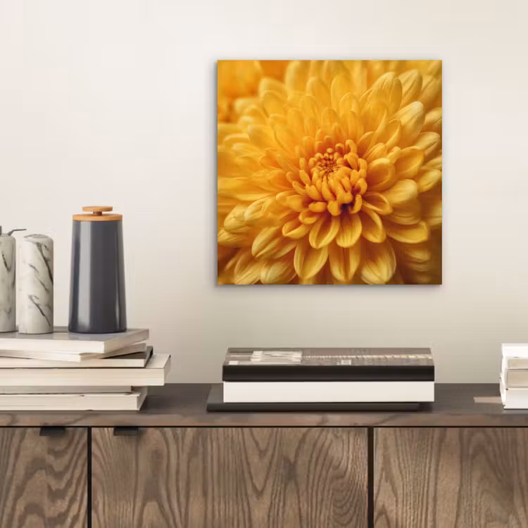 Aluminium schilderij - Geel - Chrysant - Zachtheid — 2