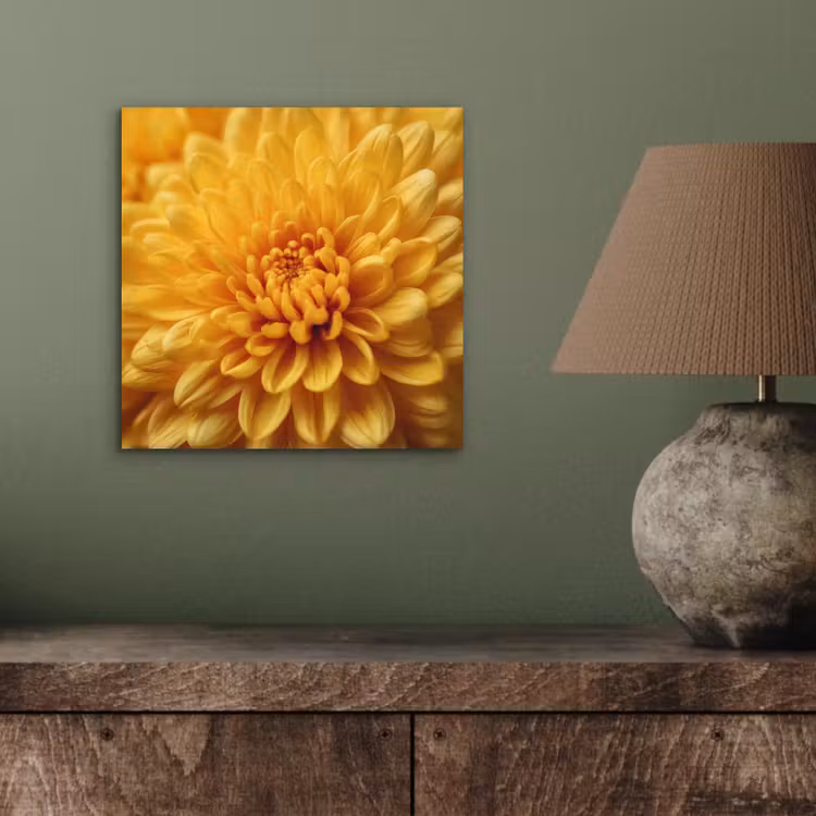 Aluminium schilderij - Geel - Chrysant - Zachtheid — 3