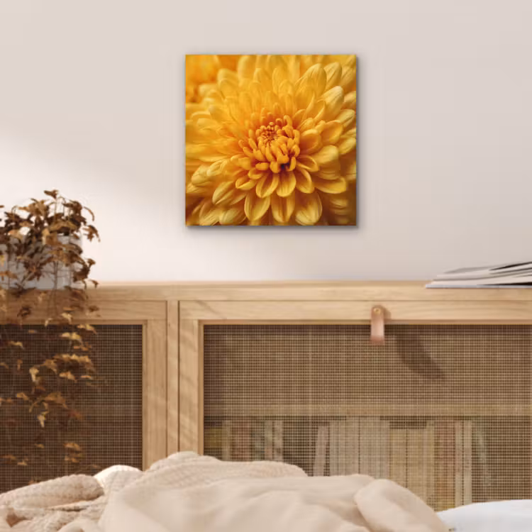 Aluminium schilderij - Geel - Chrysant - Zachtheid — 4