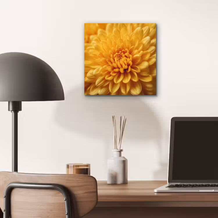 Aluminium schilderij - Geel - Chrysant - Zachtheid — 6