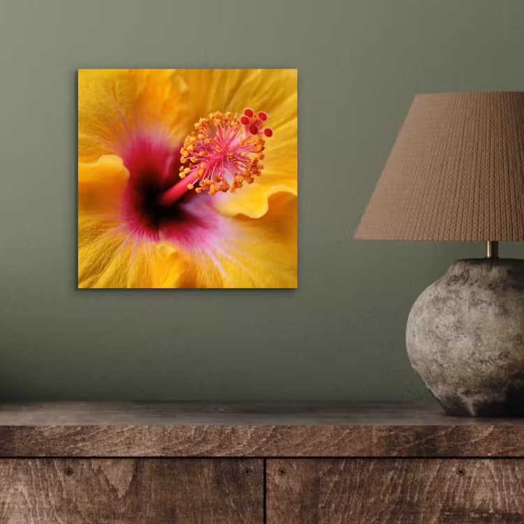 Aluminium schilderij - Geel - Hibiscus - Tropisch — 3