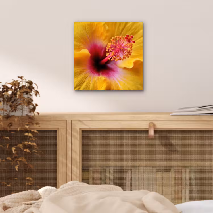 Aluminium schilderij - Geel - Hibiscus - Tropisch — 4