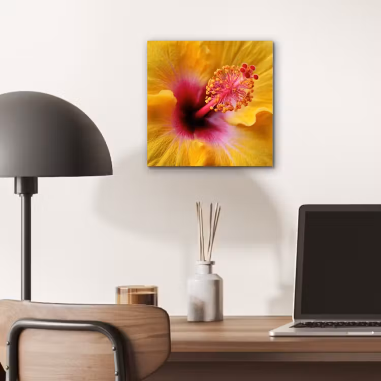 Aluminium schilderij - Geel - Hibiscus - Tropisch — 6