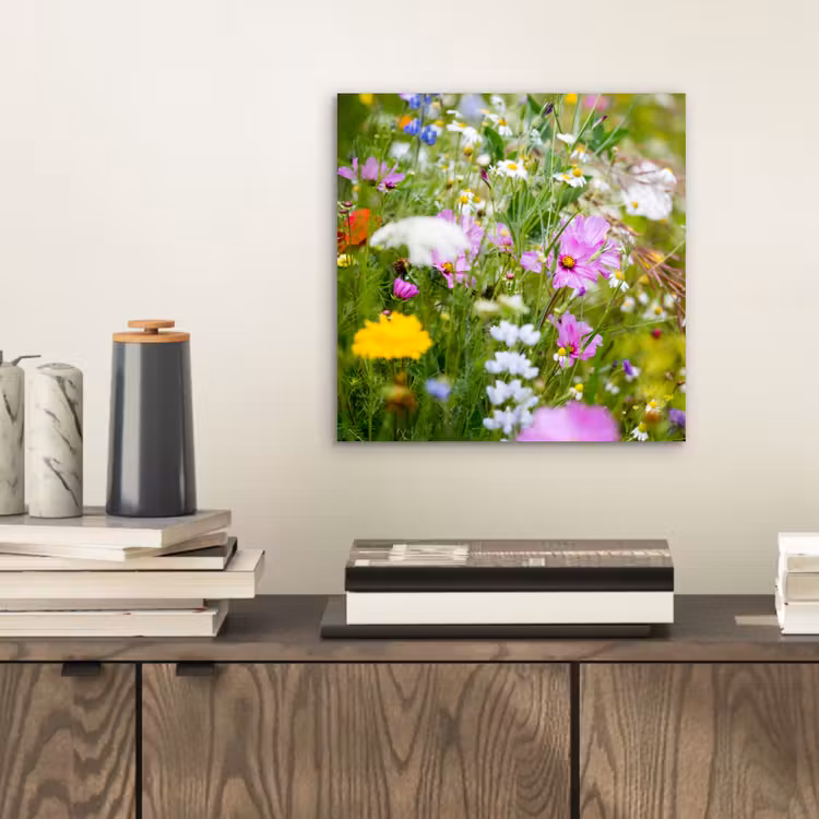 Aluminium schilderij - Bloemen - Natuur - Groen - Gras - Paars - Wit — 2
