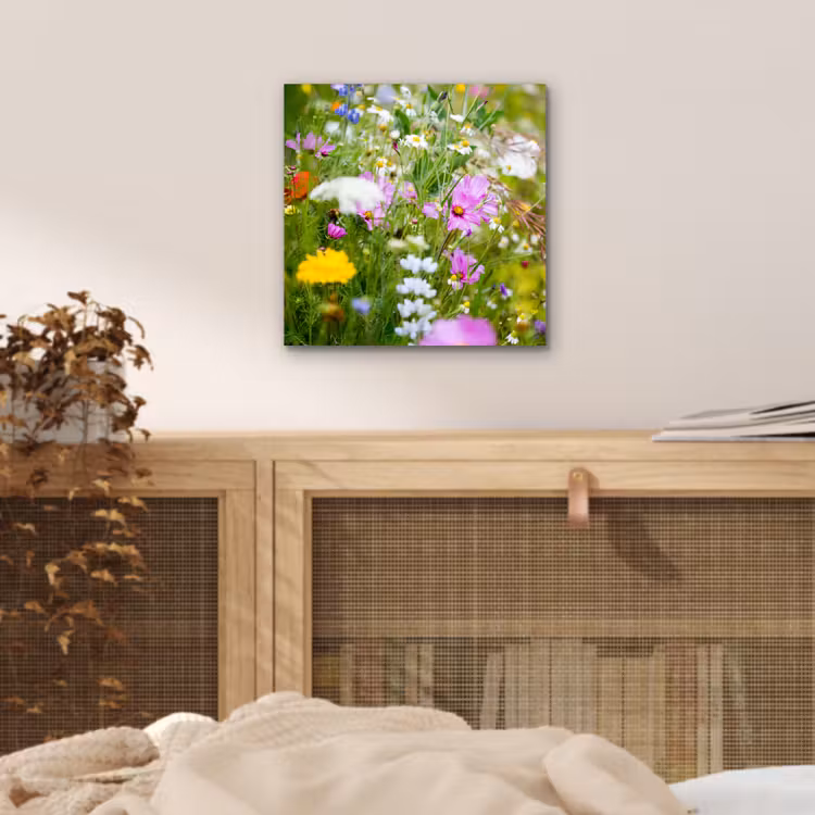 Aluminium schilderij - Bloemen - Natuur - Groen - Gras - Paars - Wit — 4