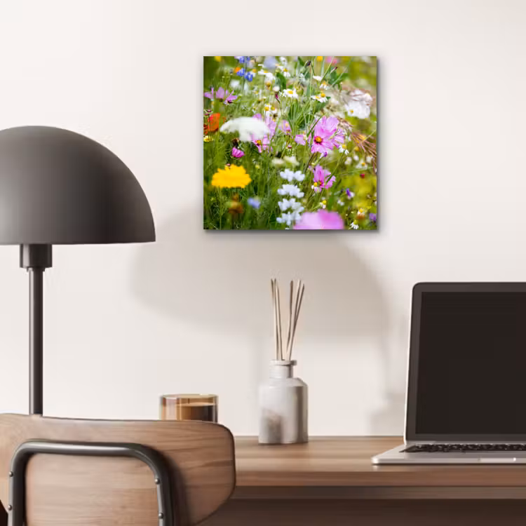 Aluminium schilderij - Bloemen - Natuur - Groen - Gras - Paars - Wit — 6