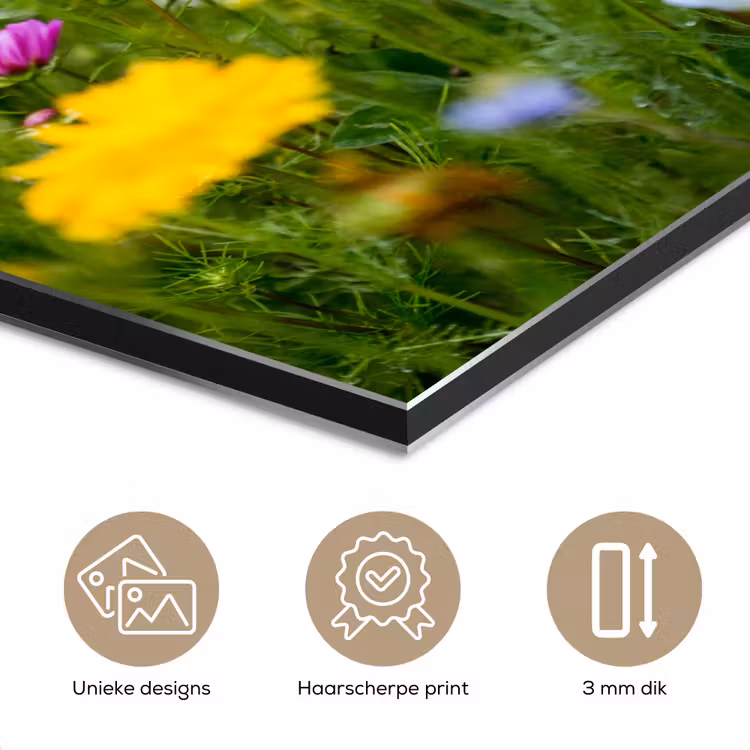 Aluminium schilderij - Bloemen - Natuur - Groen - Gras - Paars - Wit — 7