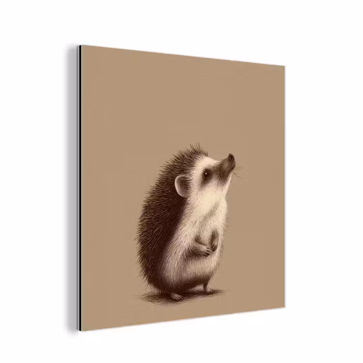 Aluminium schilderij - Egel - Snuitje - Bruin - Stekels — 1